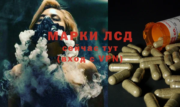 спиды Аркадак