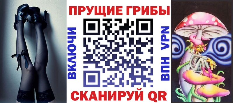 наркота  Мезень  Галлюциногенные грибы Psilocybine cubensis 
